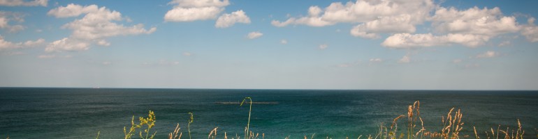 Ten Ways to Tell Spring is Not Your Season